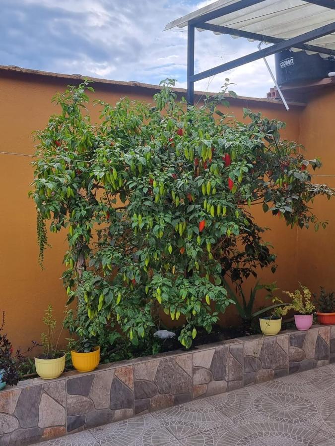 Hospedaje En Esplendor 贾丁 外观 照片